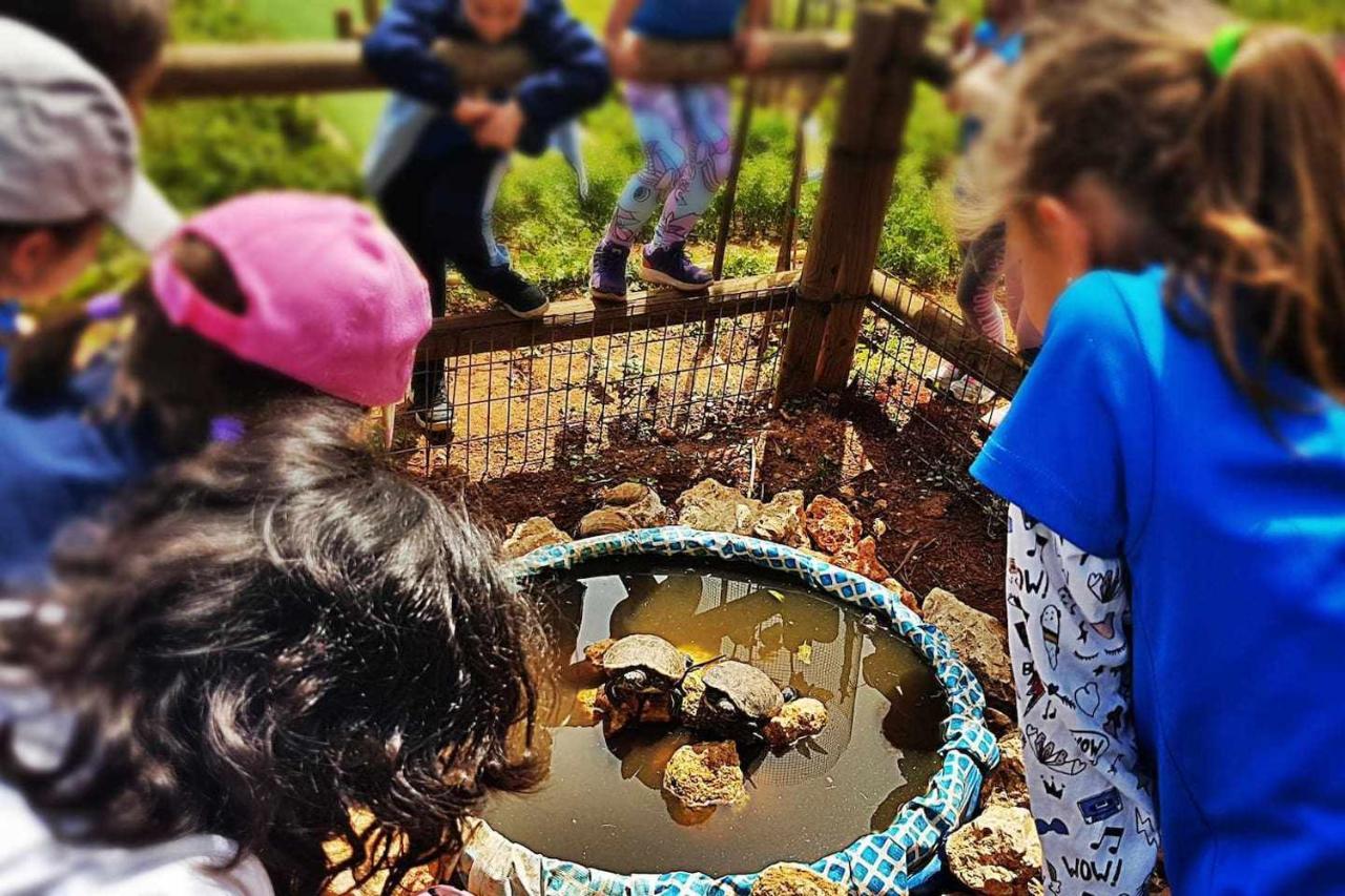 Casa Rural Finca Real De Niebla المظهر الخارجي الصورة