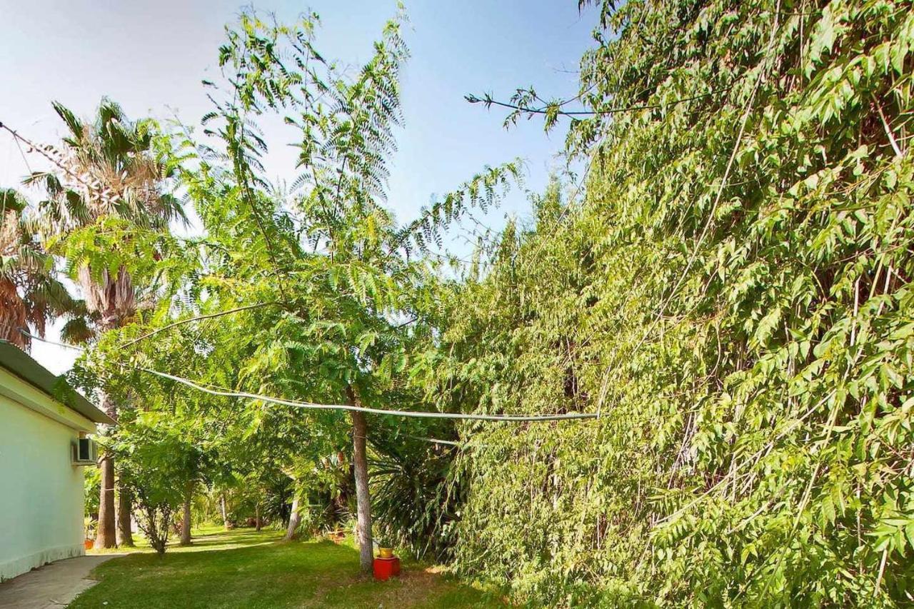 Casa Rural Finca Real De Niebla المظهر الخارجي الصورة