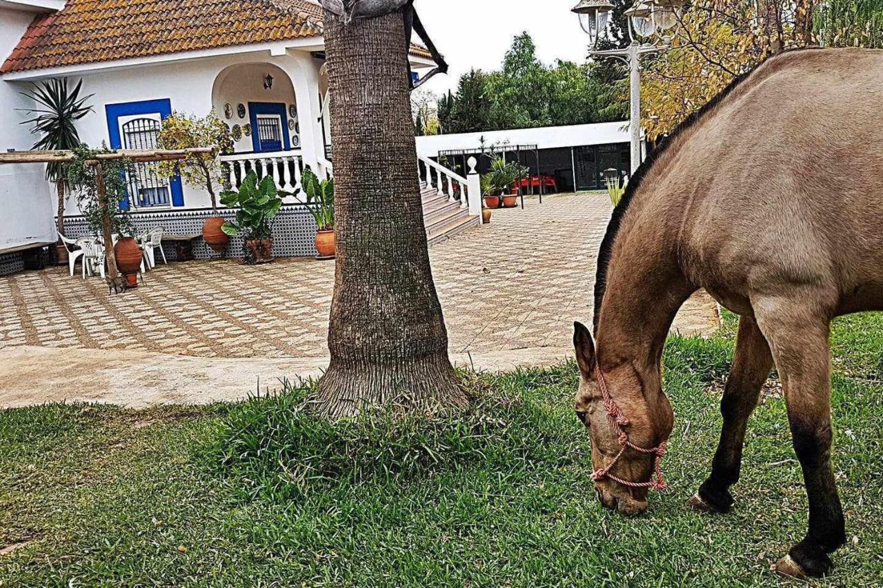 Casa Rural Finca Real De Niebla المظهر الخارجي الصورة