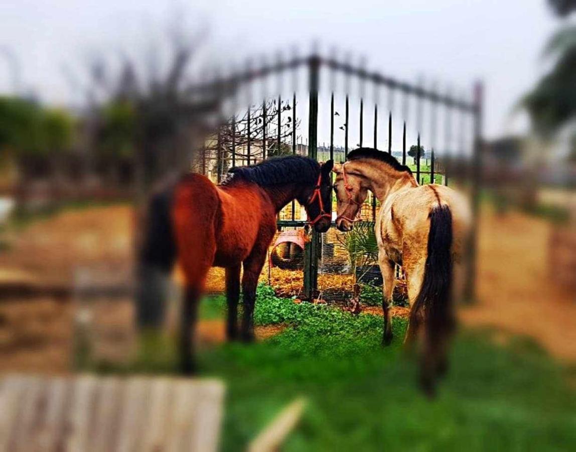 Casa Rural Finca Real De Niebla المظهر الخارجي الصورة