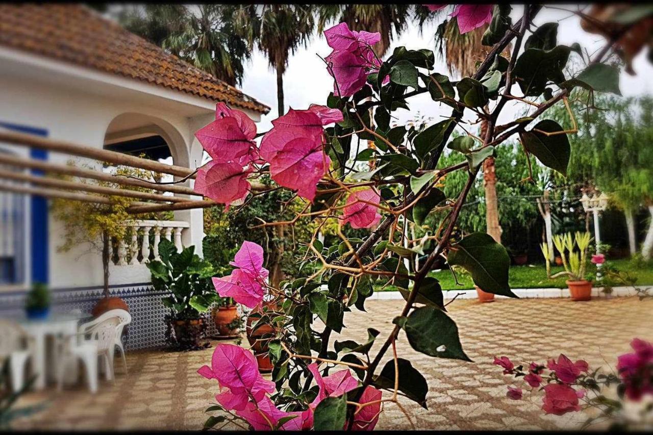 Casa Rural Finca Real De Niebla المظهر الخارجي الصورة